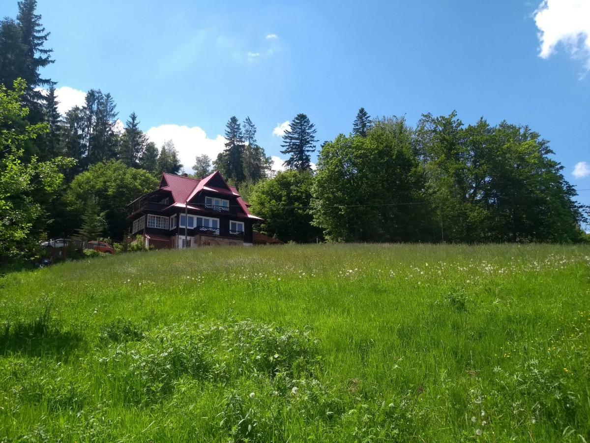 Willa Wislok Wisła Exterior foto